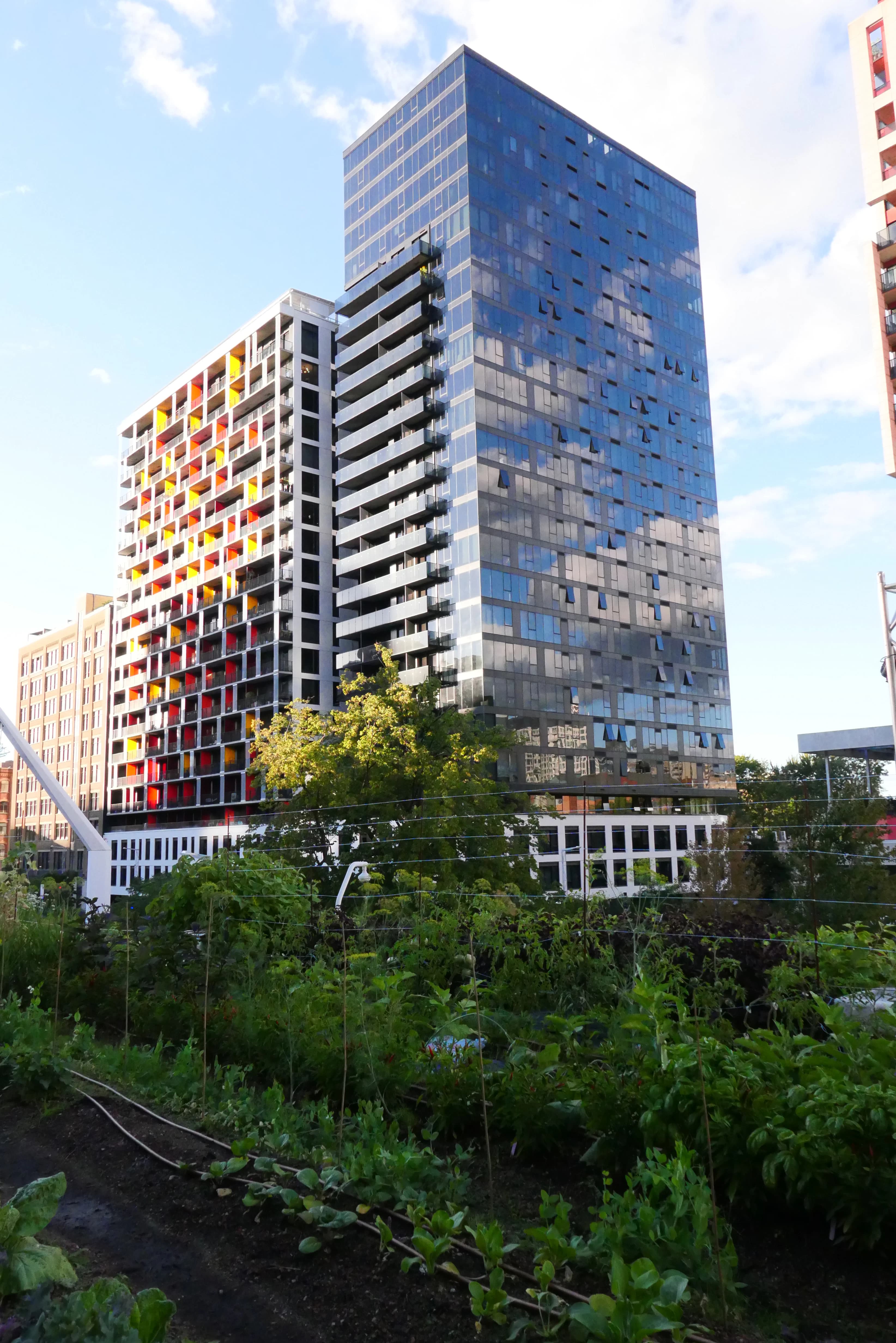 A lush vegetable garden in the foreground, in front of a tall blue glass tower and a building with colorful balconies.